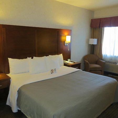 Comfort Inn San Jose International Airport Стая снимка